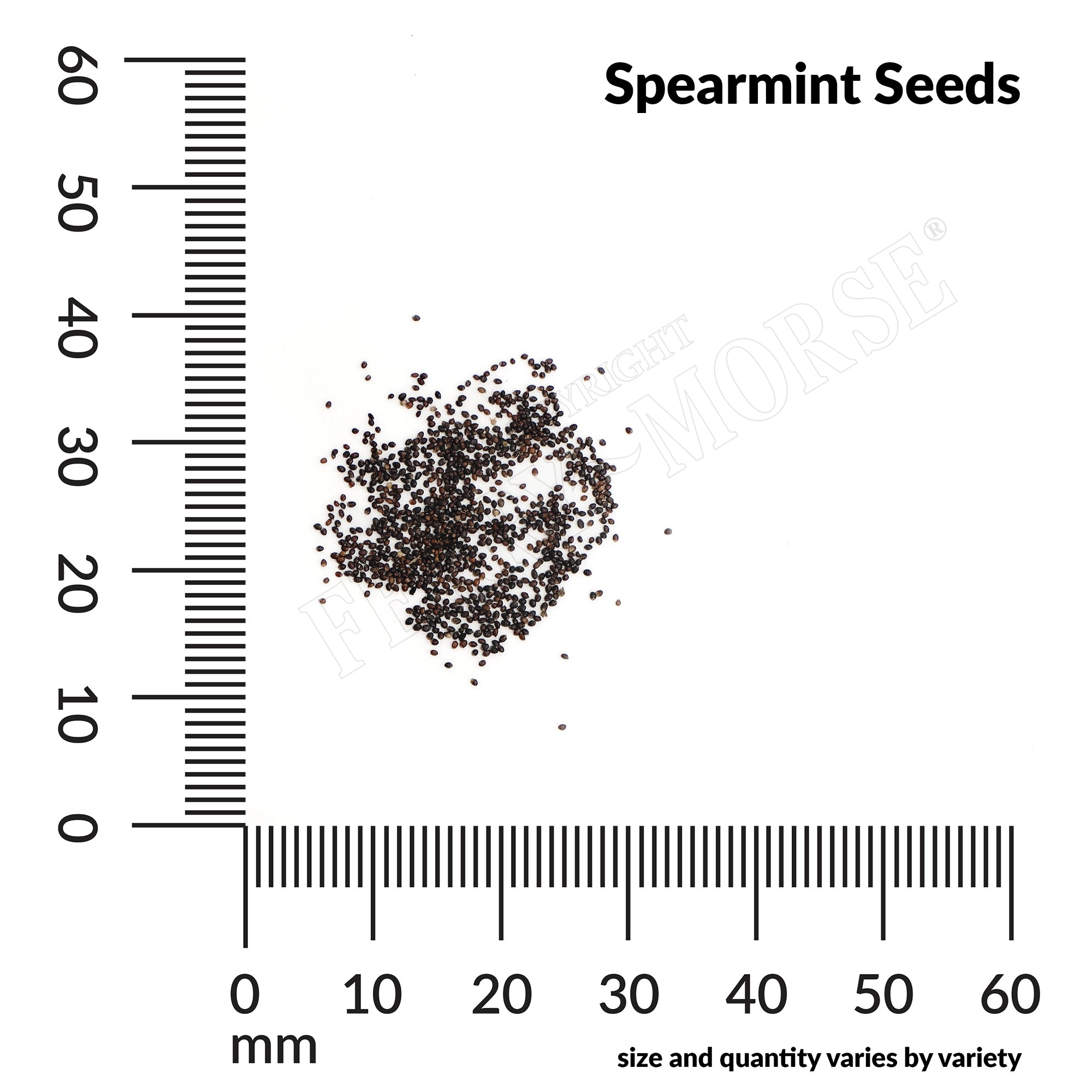 Spearmint seed spill and measurement